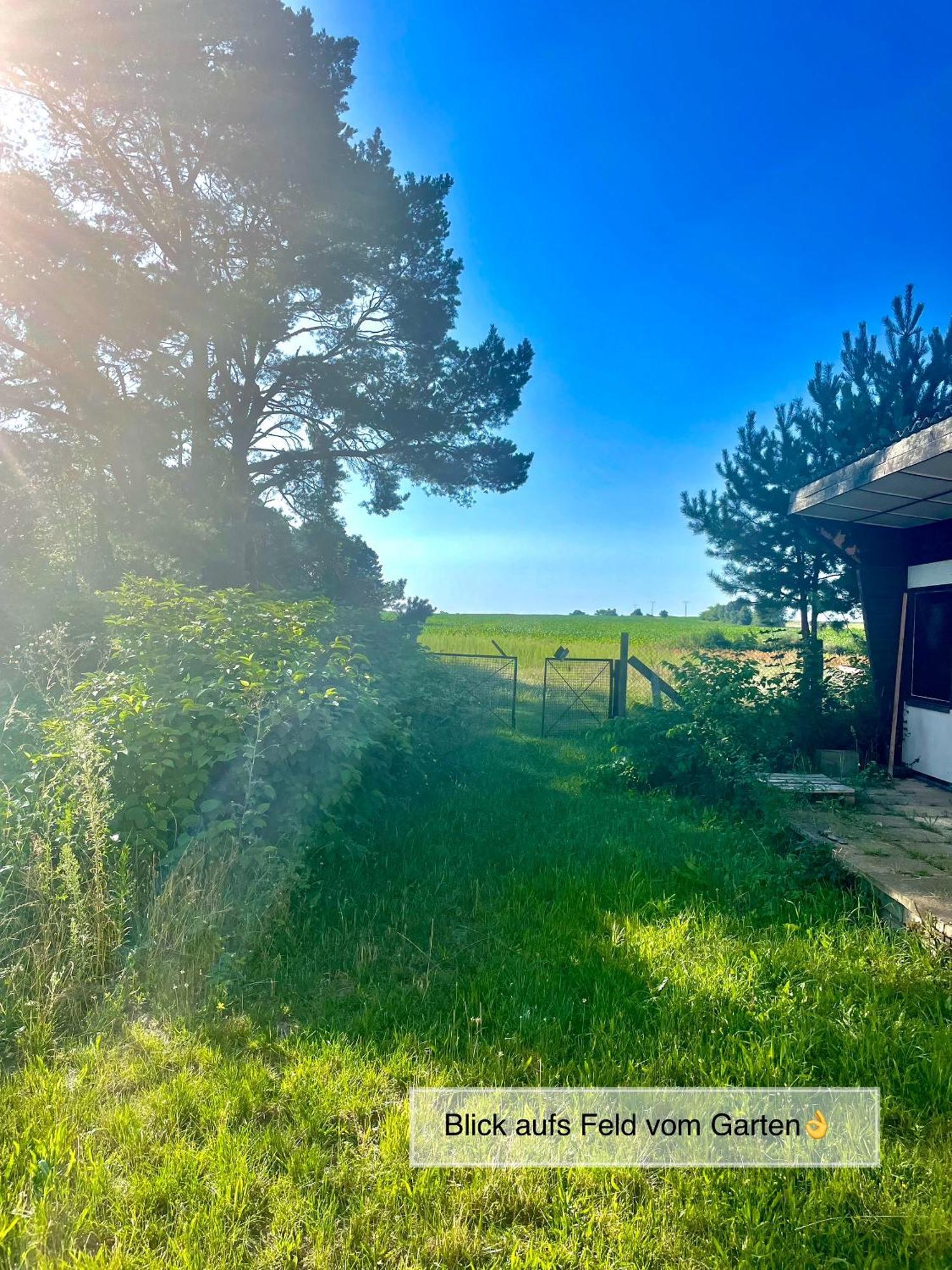 Modernes Ferienhaus Mit 3 Schlafzimmern In Der Naehe Vom Scharmuetzelsee Вендиш Риц Екстериор снимка